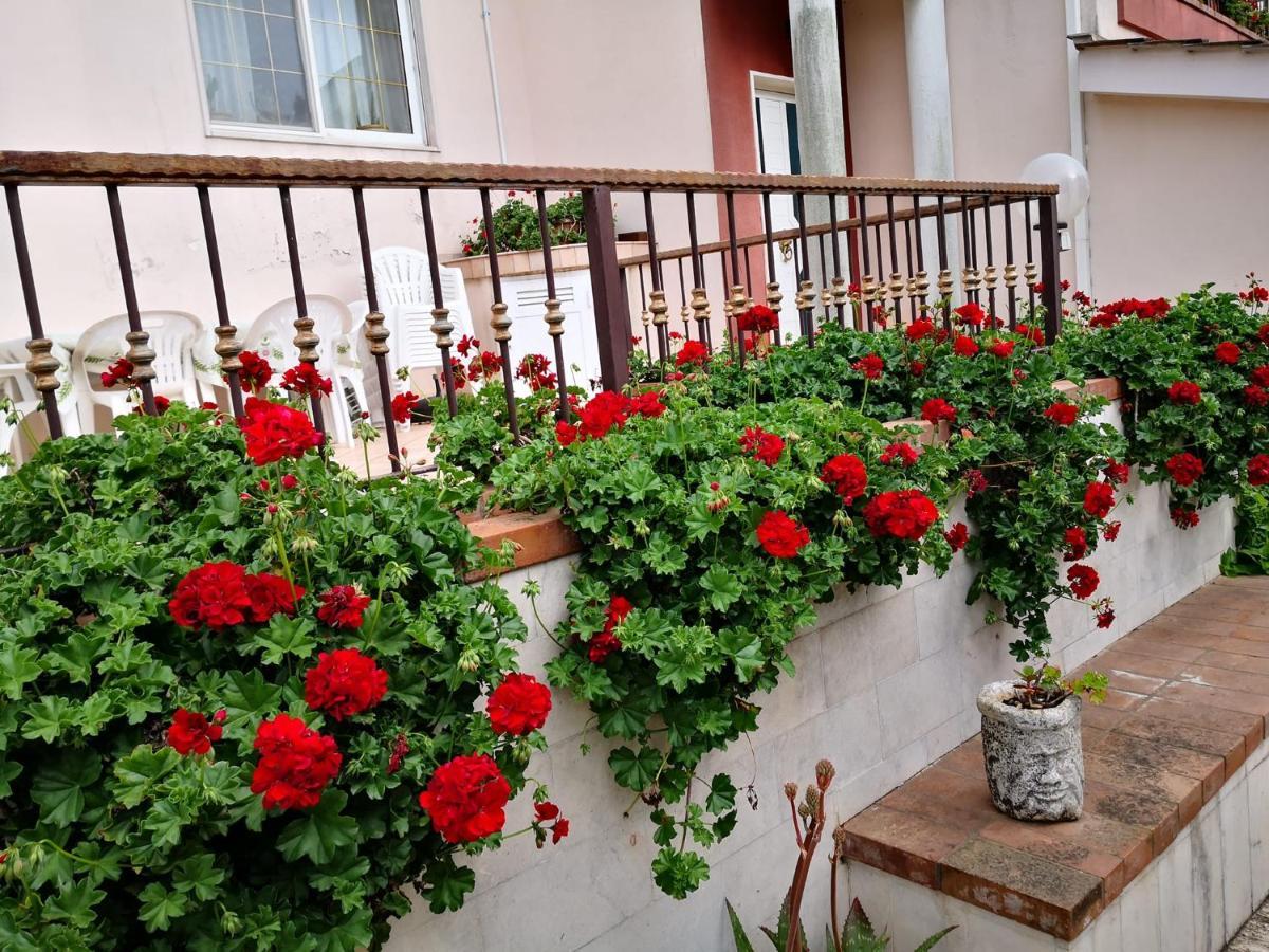 B&B Villa Lena Turi Ngoại thất bức ảnh